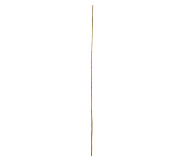 Bambusstäbe