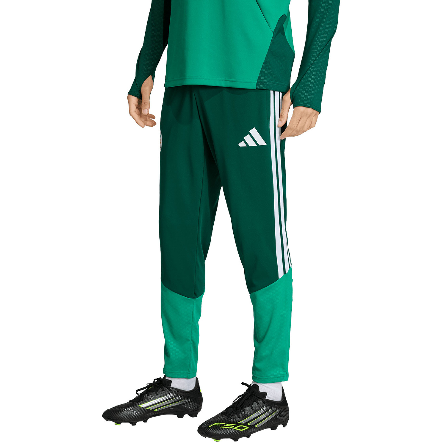 adidas Algerije Training Pant WK 2026