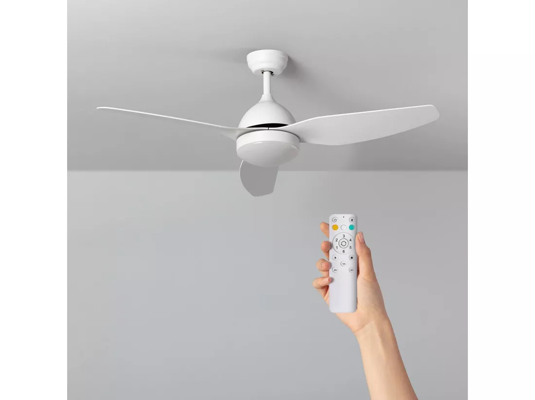 Ventilateur de Plafond Silencieux Woolworth Blanc 127cm Moteur DC Télécommande Sans lumière