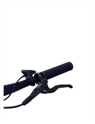 Produit reconditionné . Riese et Müller Roadster Mixte Touring Shimano XT 2023 . Vélo électrique . Riese et Müller . très bon état