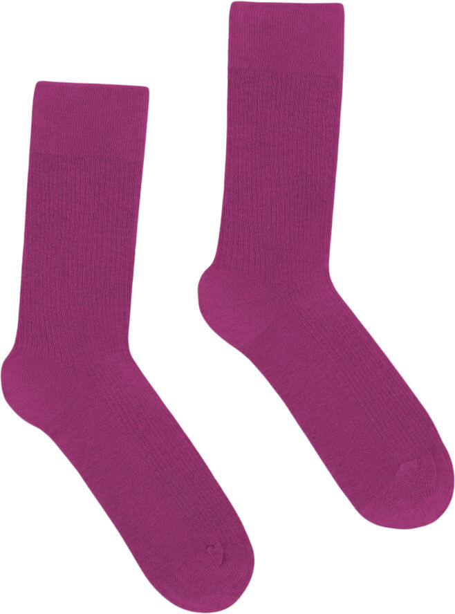 Colorful Standard Classic Organic Sock Magenta blaze