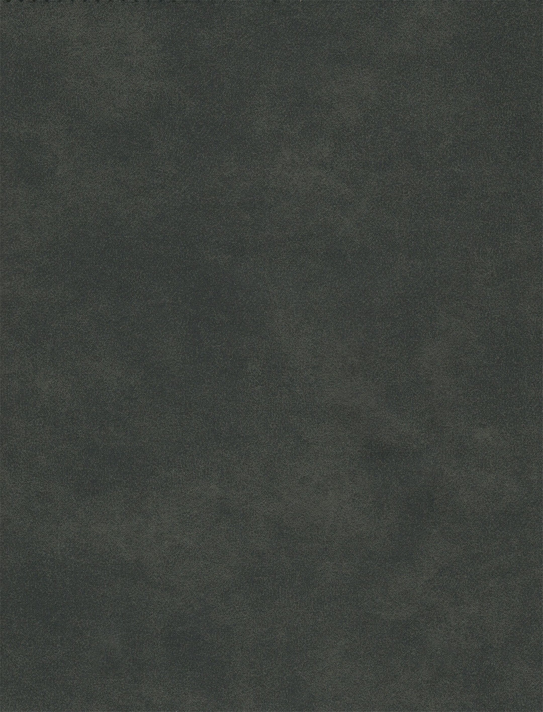 LIV‘IN Esszimmerstuhl NEAPEL 4er Set Vintage anthrazit
