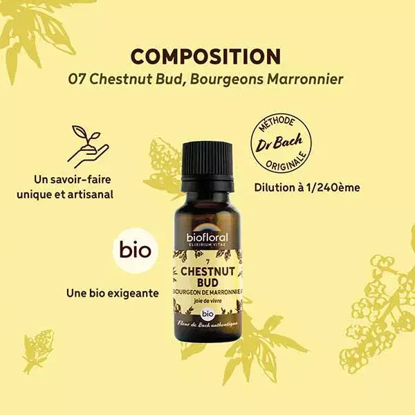 Biofloral 07 Chestnut Bud - Floral de Bach Orgânico 19,5g