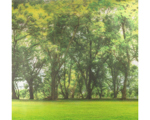 Raamfolie Venilia Vitrostatic Forest 67,5x150 cm