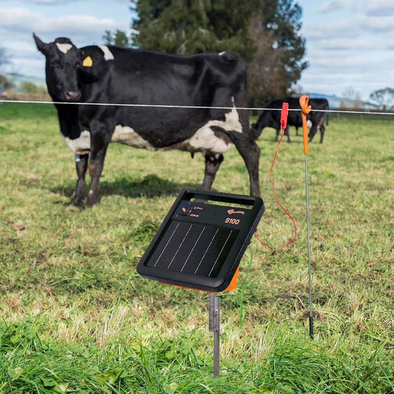 Gallagher Solar S100 met gratis Stander - Schrikdraadapparaten - 32 cm - Zwart - 12V - 1 Joule - 38.5 cm