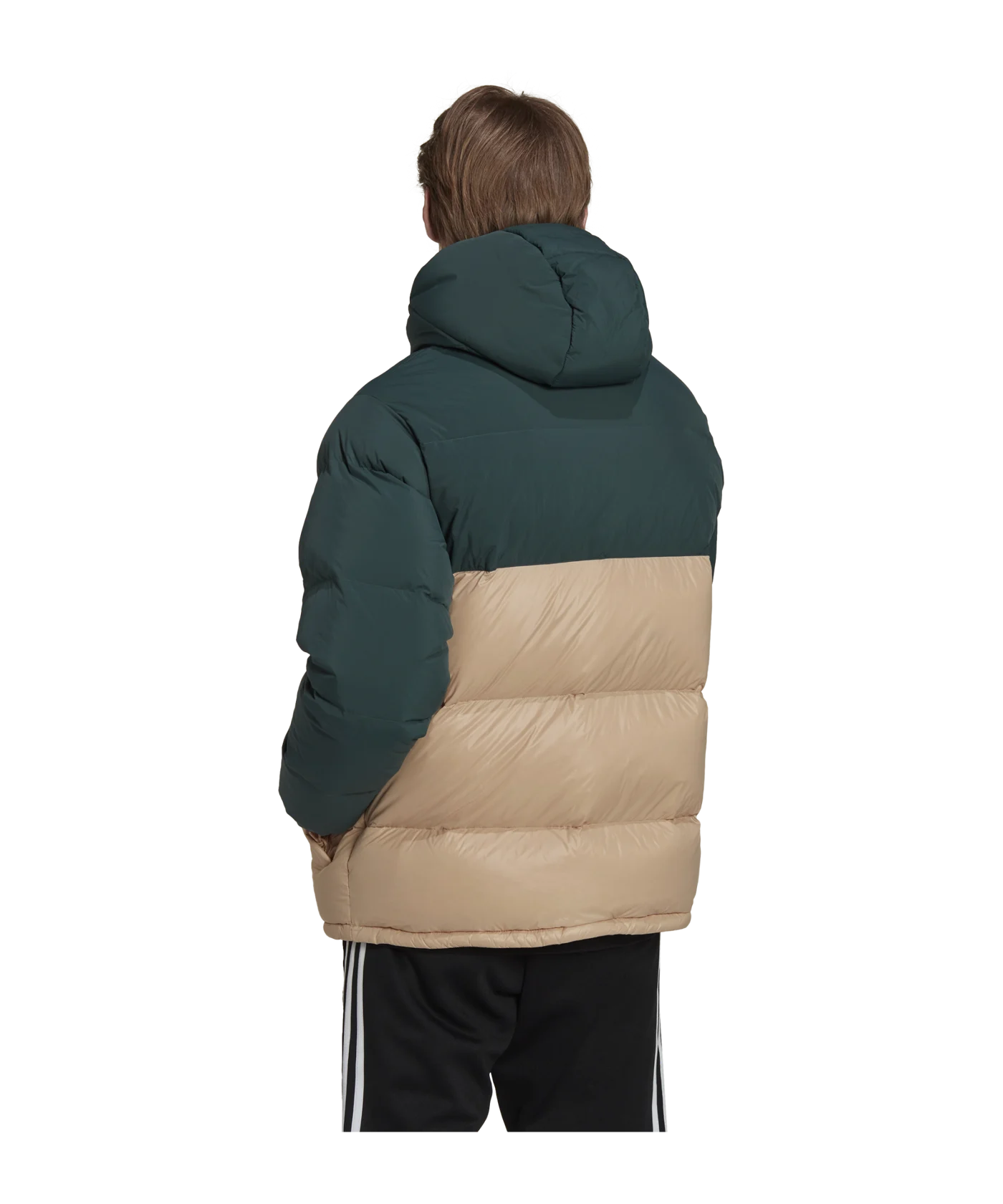 adidas Originals Down Regenjacke Grün Beige