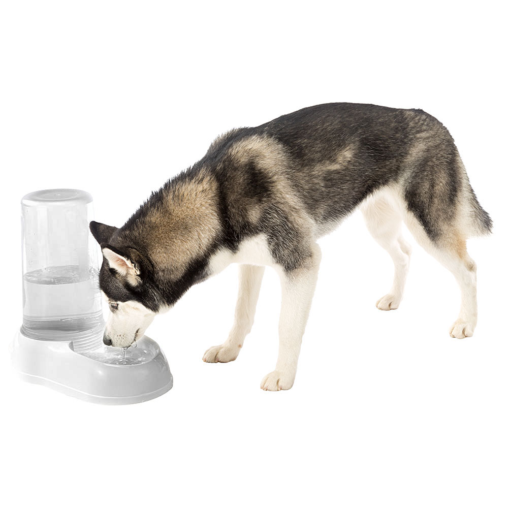 Ferplast distributeur d'eau ou nourriture pour grands chiens azimut 5500 dispenser pour animaux 5,5 litres mangeoire pour