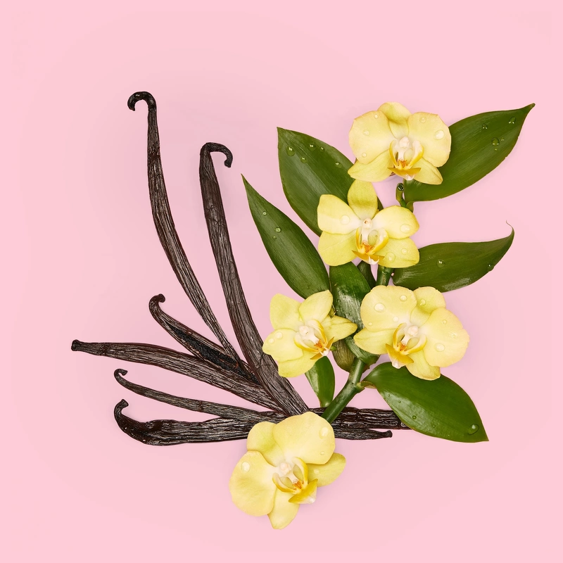 Gucci Flora Gorgeous Orchid Refillable EDP 100 ml