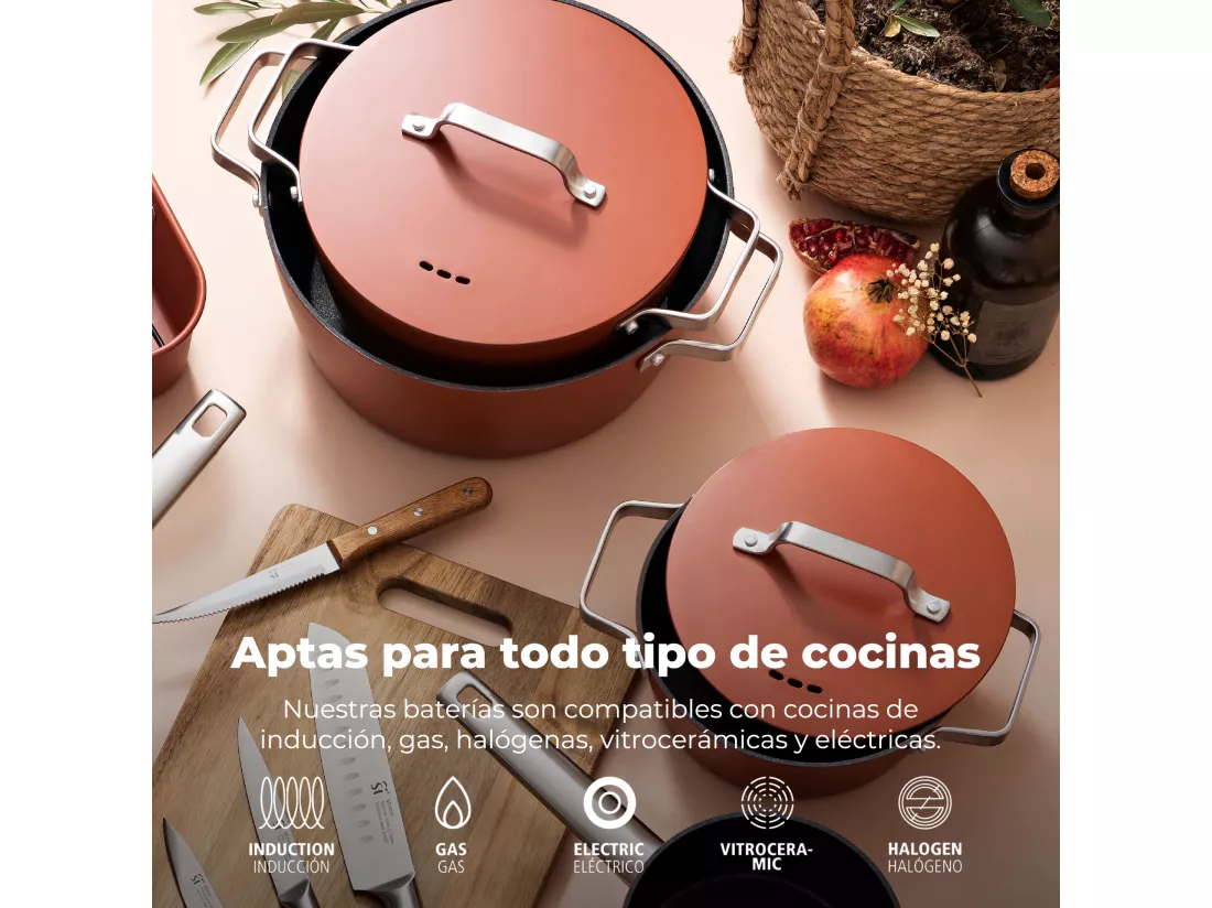 Cocotte 20x8,5cm ind en aluminium forgé avec couvercle agros, 2litres