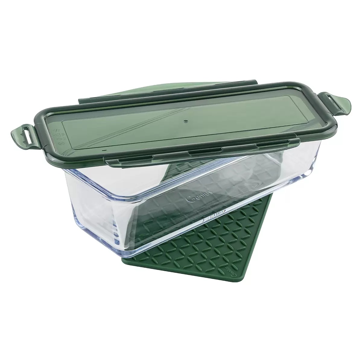 Schüssel   Schale Genius transparent,dunkelgrün