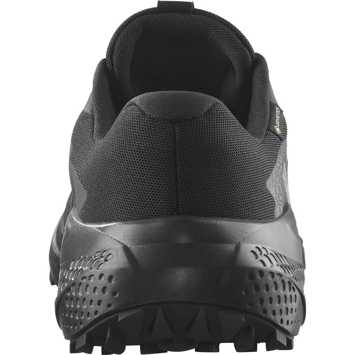 Salomon<br>Alphaglide GTX