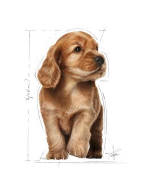 Royal Canin Cocker - Puppy-Hondenvoer - 3 kg