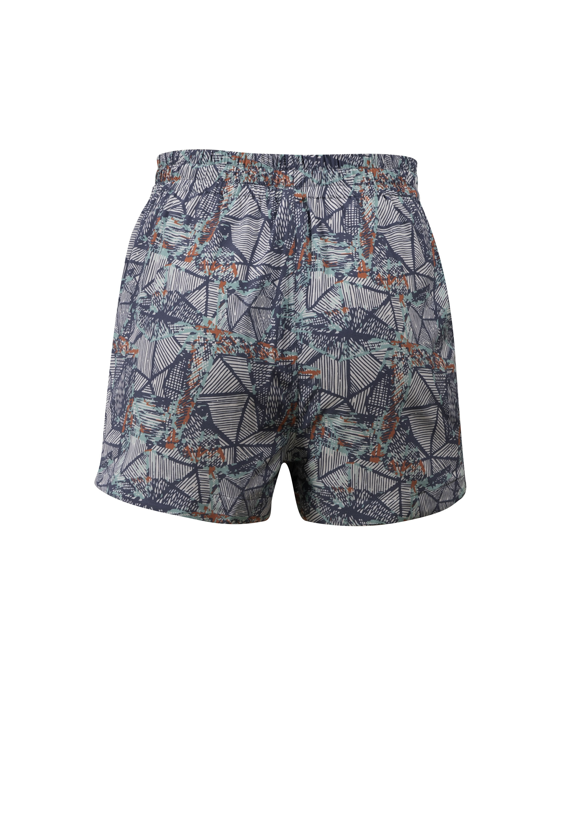 Ash Shorts