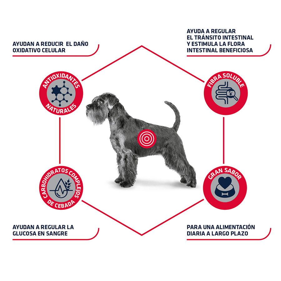 3 kg de ração Advance Veterinary Diets para cães diabéticos