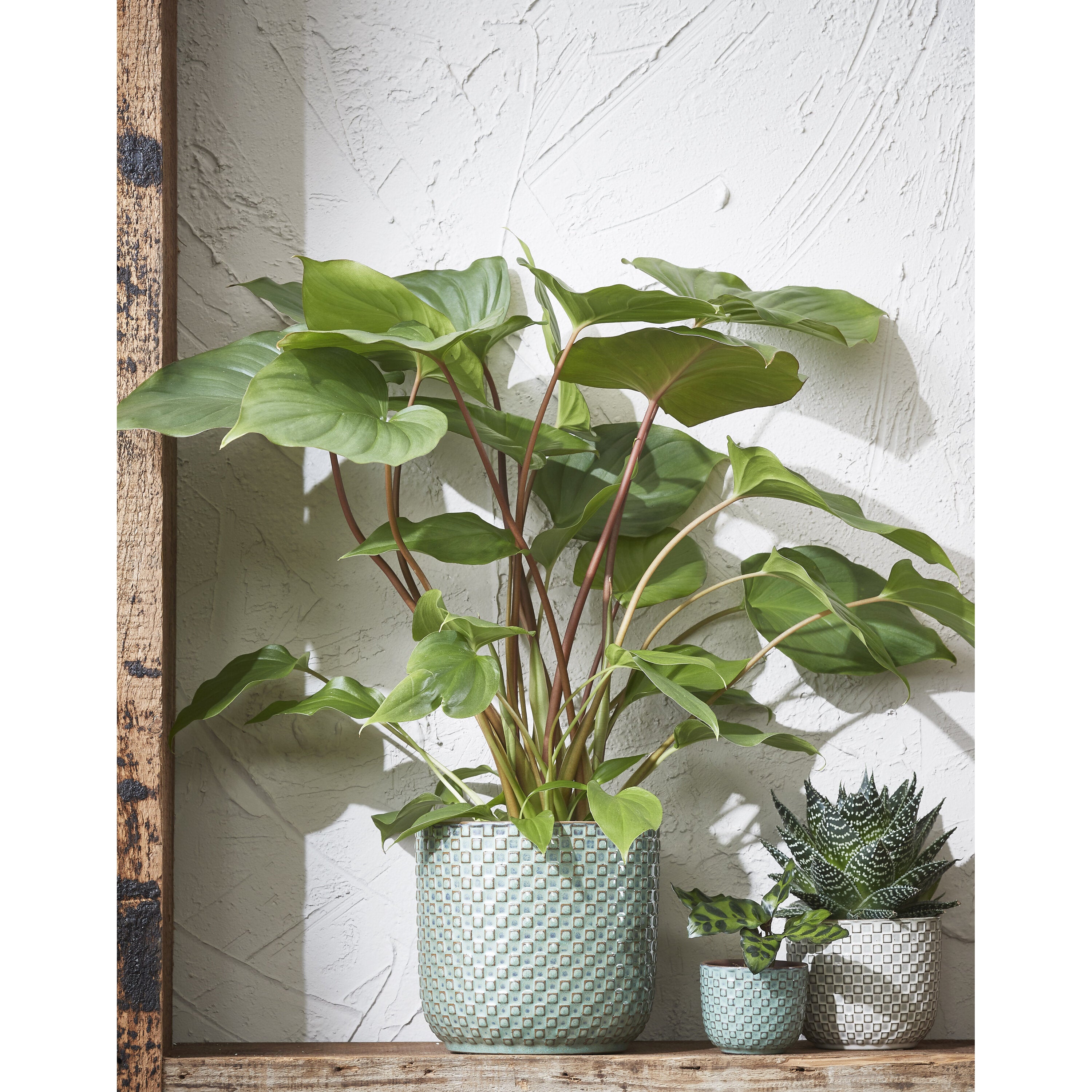 Mica Decorations Daan pot rond groen - h17,5xd19cm