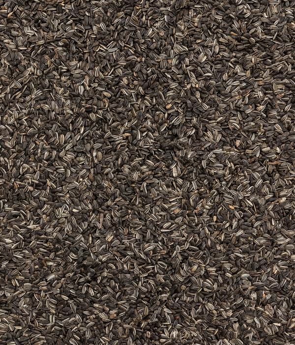 Dehner Natura Premium Wildvogelfutter