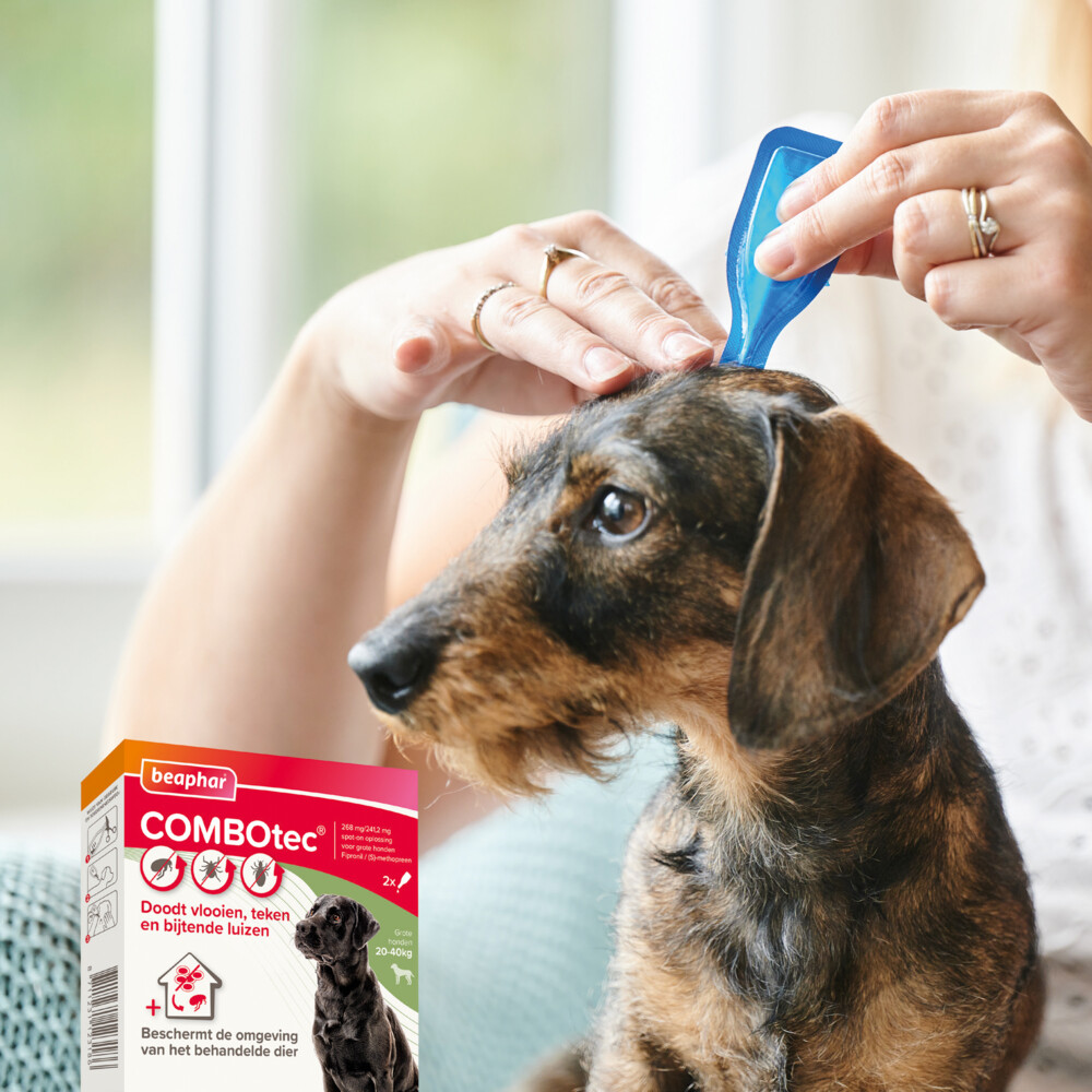 Beaphar Combotec Anti Teken- en Vlooiendruppels Hond 20-40 kg2 pipetten
