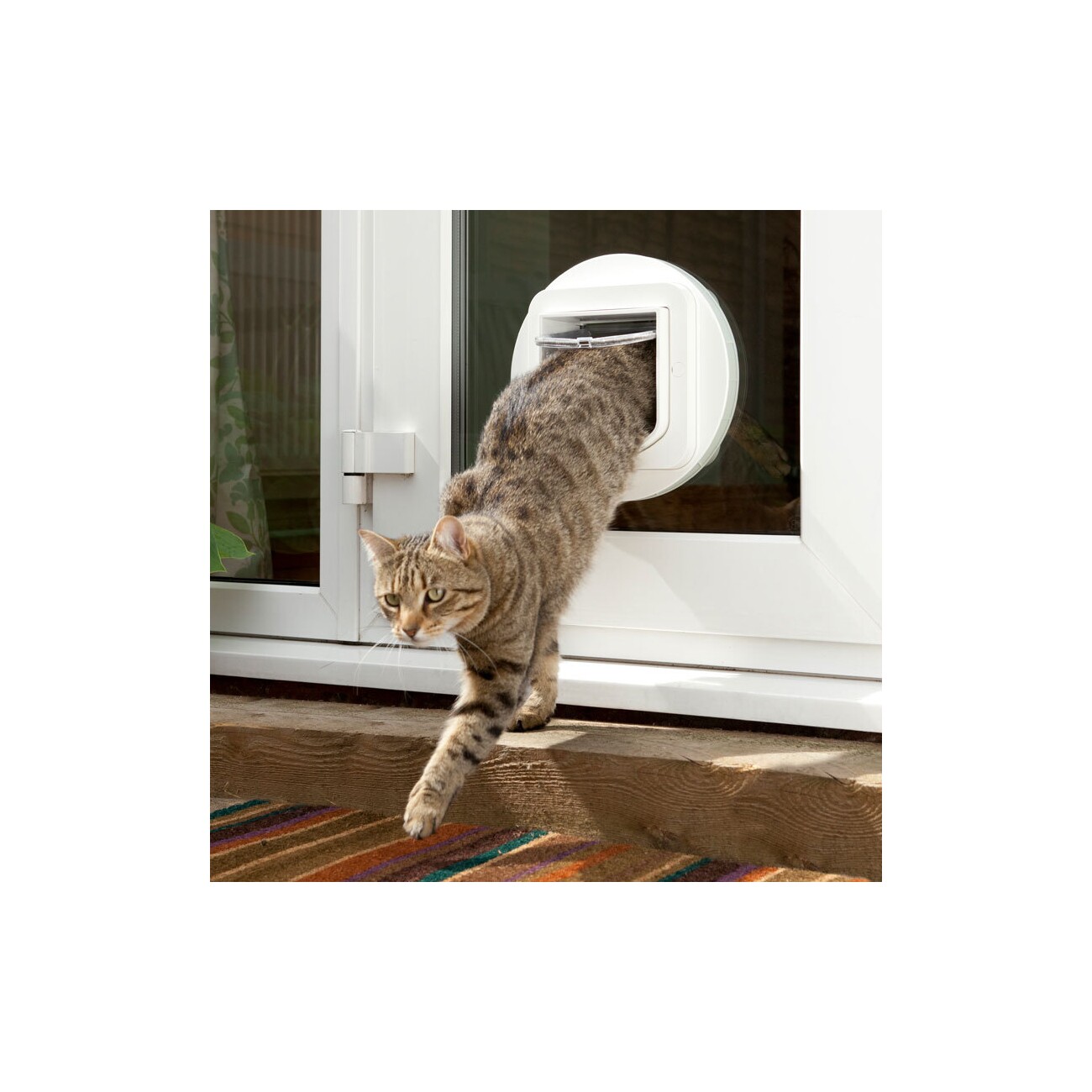 SureFlap Mikrochipgesteuerte Katzenklappe weiß