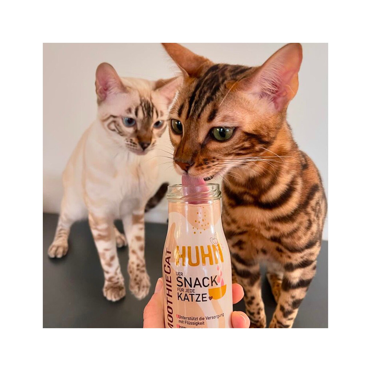 SmoothieCat Huhn 6x150 ml