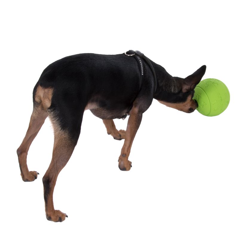 Balle à friandises Boomer à prix discount sur bitiba.fr