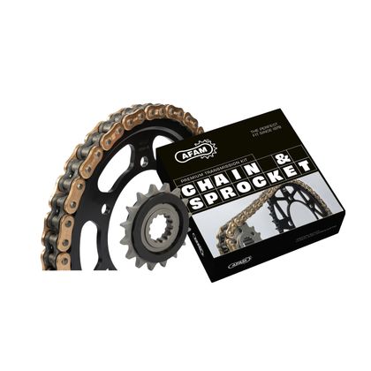 Kit chaine AFAM 525 Type Acier Premium avec pignon silencieux