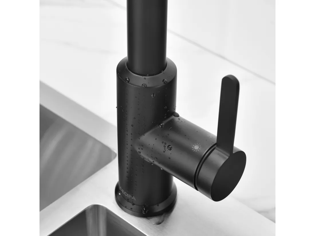 Cecipa max Mitigeur de Cuisine Extractible Robinet avec 40 CM Douchette Extractible Mitigeur Cuisine à 2 Jets Eau Froide et Chaude Noir,EU Modèle