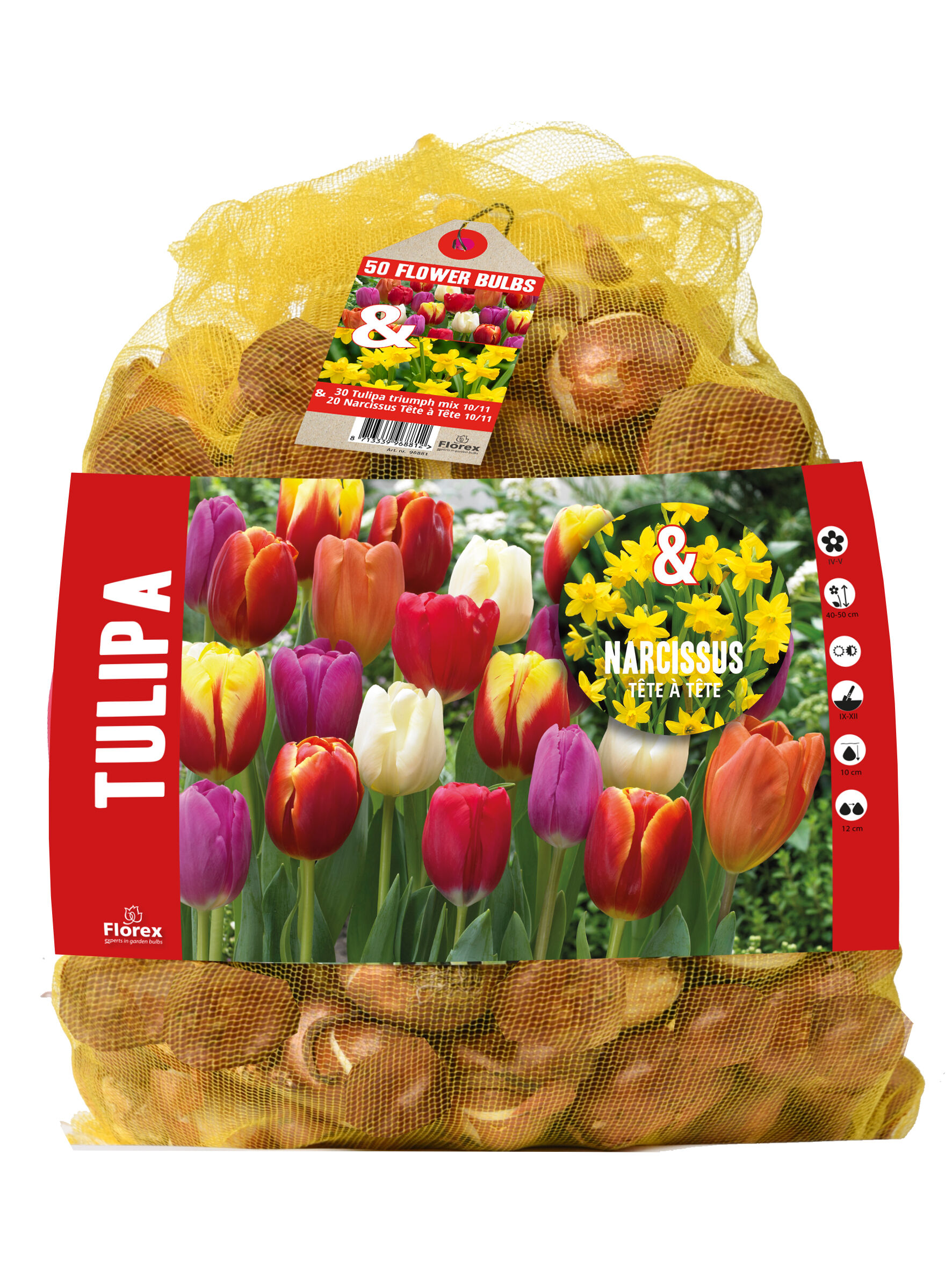 Florex Tulp - Narcis - Bloembollen