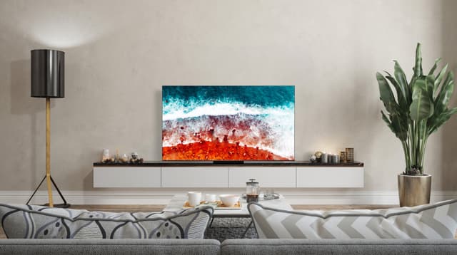 TCL 55