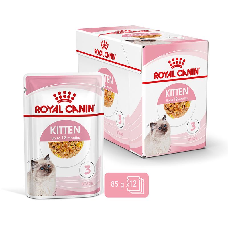 Royal Canin Kitten en gelée pour chaton