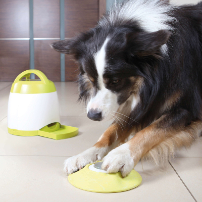 Trixie Dog Activity Memory Trainer Intelligenzspielzeug