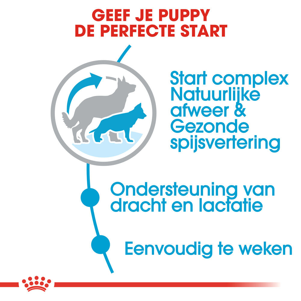 Royal Canin SHN Maxi Starter Mother & Babydog -  Hondenvoer - 4 Kilogram - gevogelte