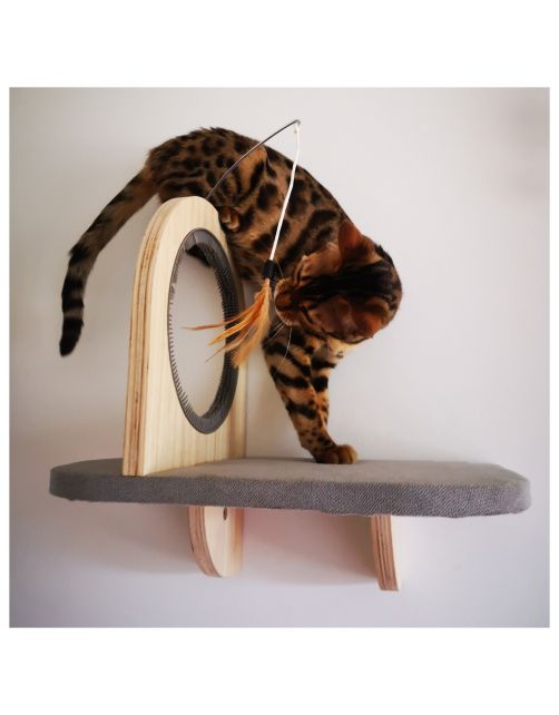 All For Paws Skywalk - Groom & Play Platform - Wandkrabpaal - 42x6.5x29 cm Grijs