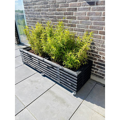 Plantekasse af sorte traller - 170 cm