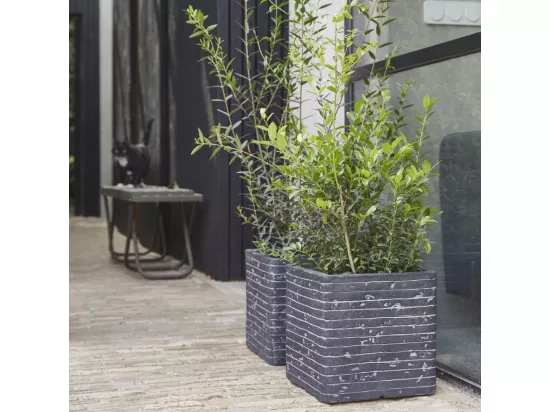Jardinière Row Carré 30 x 30 cm Anthracite KRWZ902