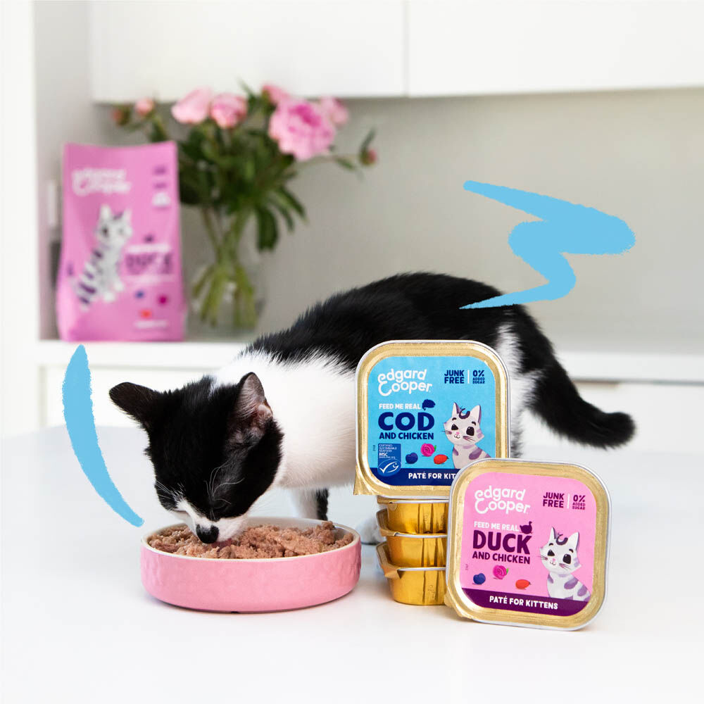Edgard & Cooper Paté - Kattenvoer - 85 Gram - kip, eend