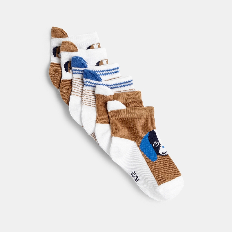 Chaussettes jacquard animaux (lot de 5)