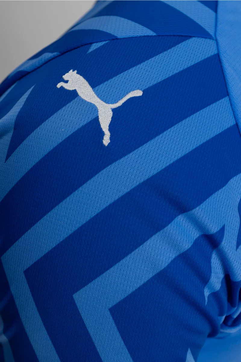 Puma Schweiz Replica Herren Torwarttrikot EM 2024 blau