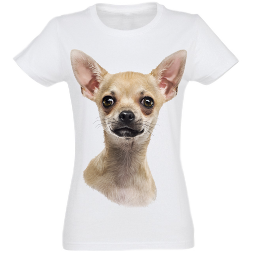 Camiseta feminina com estampa de Chihuahua, branca
