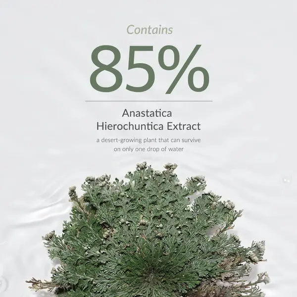 Anastatica Skin Conditioning Toner