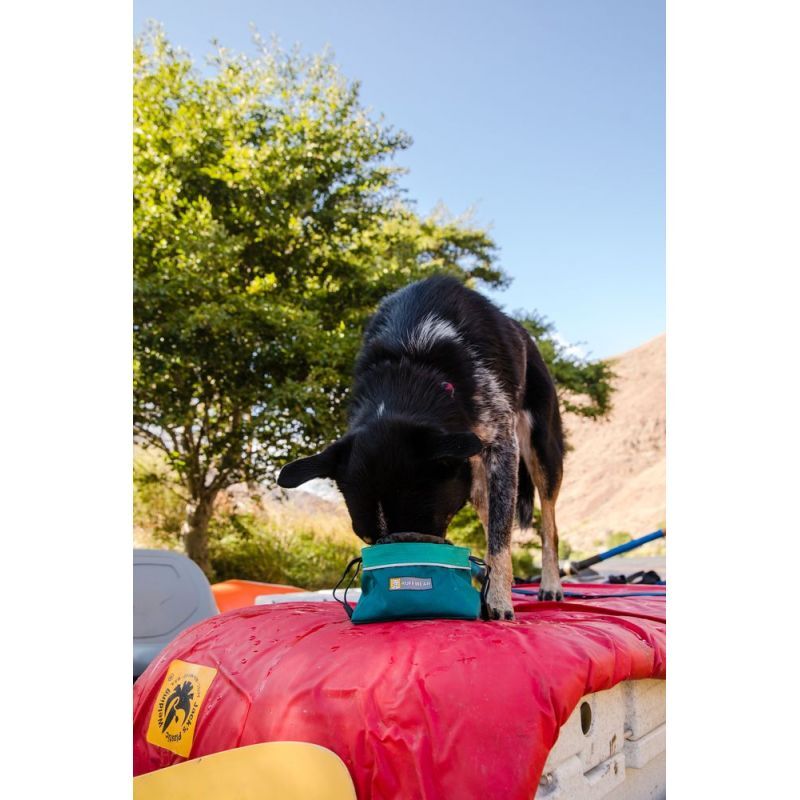 Quencher Cinch Top - Gamelle pour chien