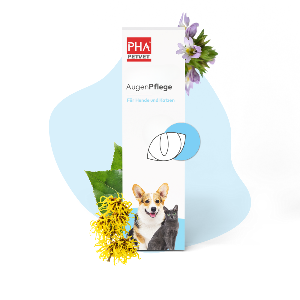 PHA AugenPflege für Hunde und Katzen Tropfen 100 ml