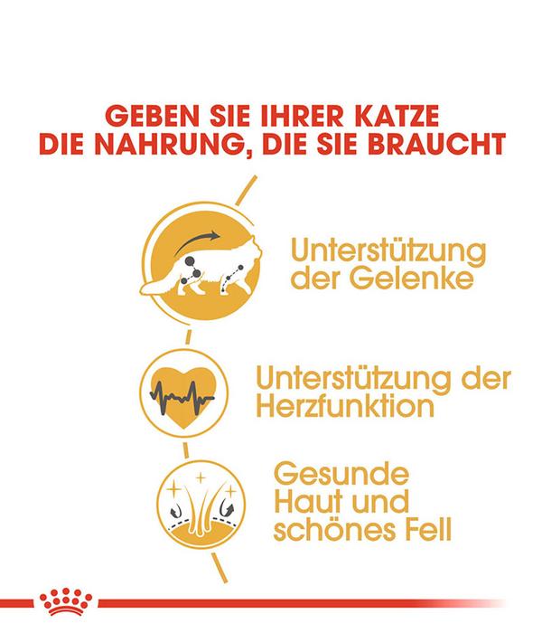 ROYAL CANIN® Trockenfutter für Katzen Maine