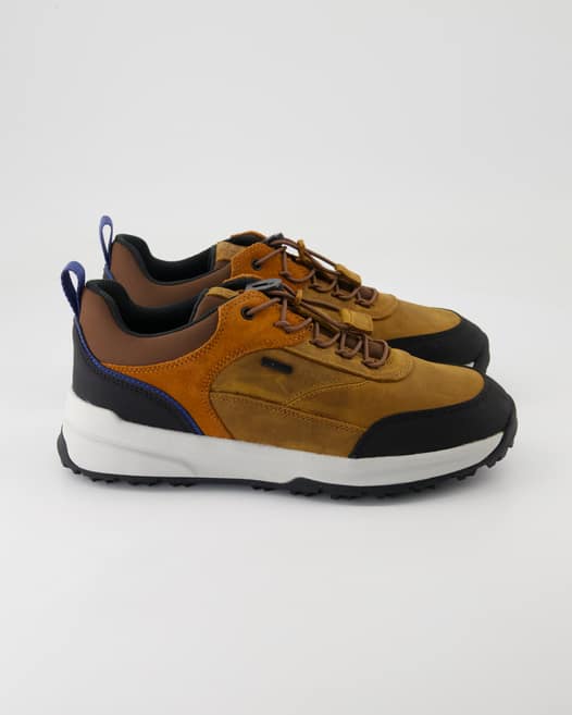 Geox Sterratrail Sneaker in Braun