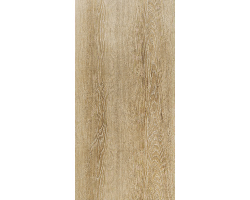 Porseleinen wand- en vloertegel Bos natuur 30 x 60 x 0,74 cm