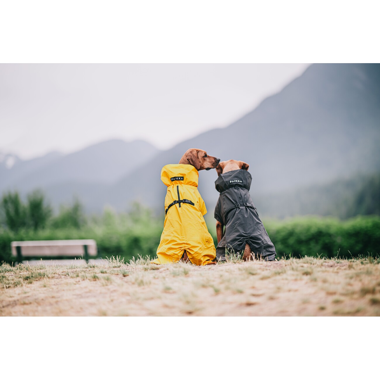 Paikka Visibility Raincoat Lite yellow 25 cm