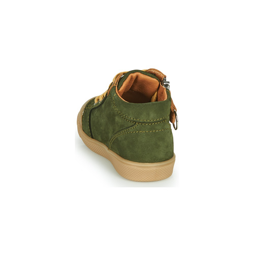 GBB - TIMOTHE - Vert