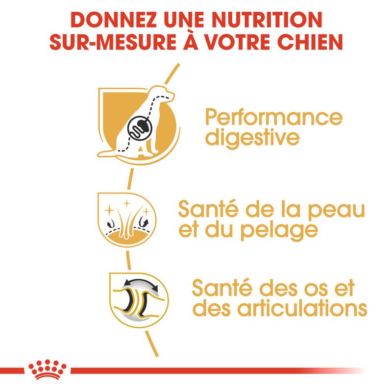 Royal Canin Berger Allemand Adult à prix discount sur bitiba.fr