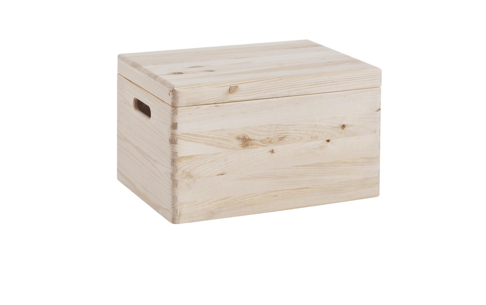Aufbewahrungskiste mit Deckel 40 x 23 cm, NatureAllzweckkiste