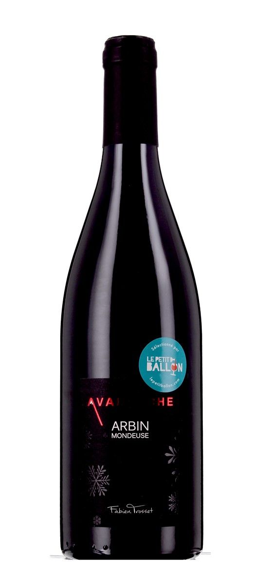 Trosset Fabien - Avalanche 2020