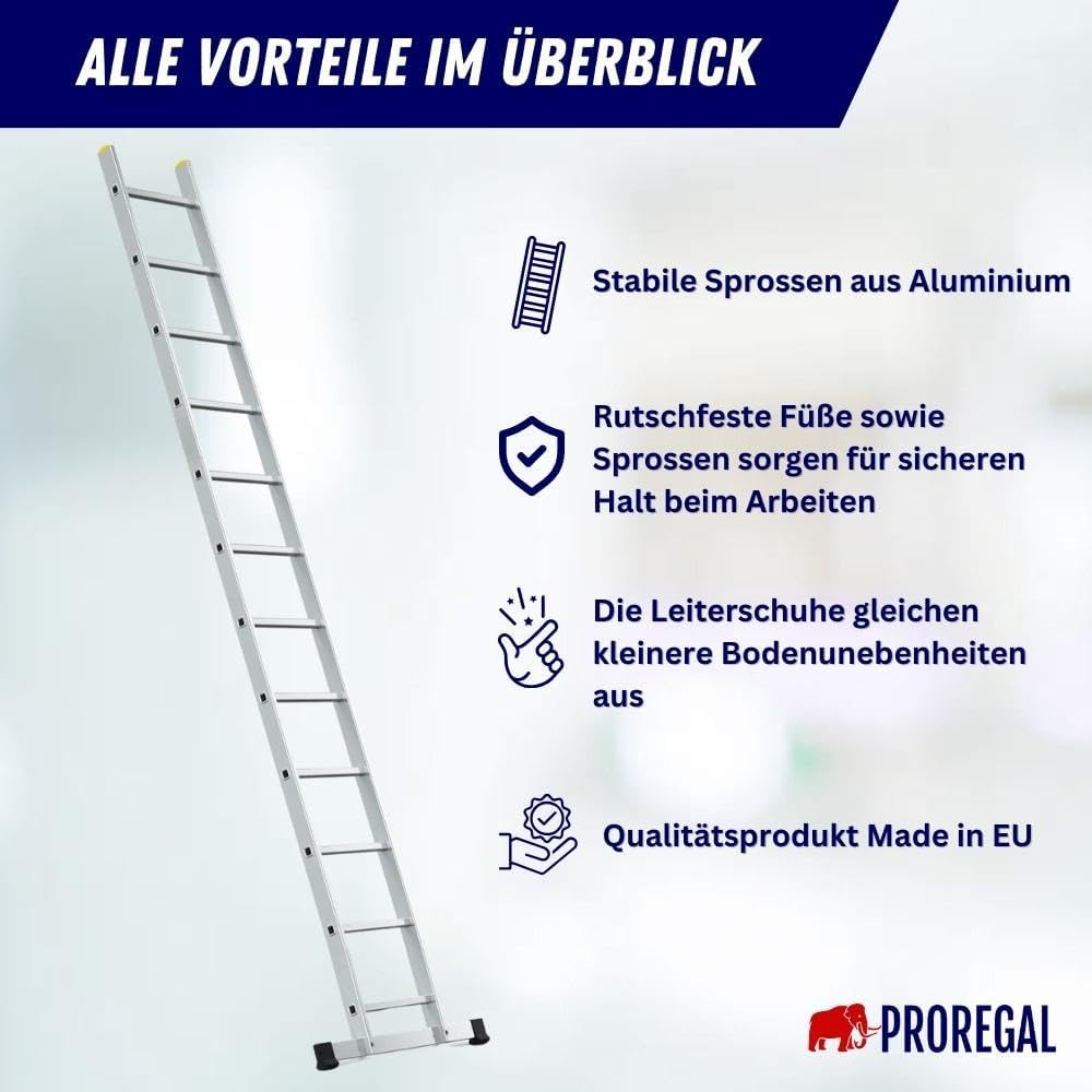 PROREGAL Economy Plus sportschuifladder met dwarsbalk, 12 sporten, werkhoogte 4,24 m, draagvermogen 150 kg